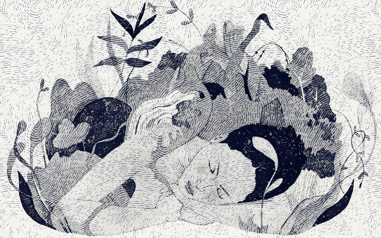 Perspectives écoféministes