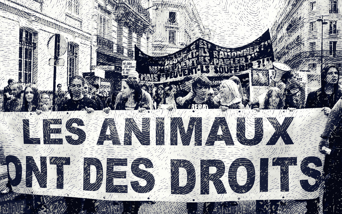 Perspectives antispécistes